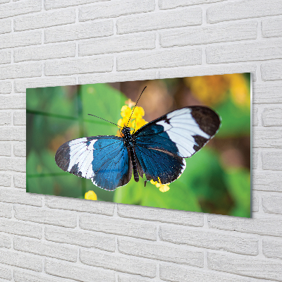 Painel de vidro Borboleta colorida em flores