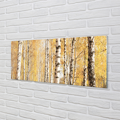 Painel de vidro Árvores de outono