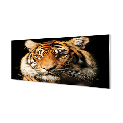 Painel de vidro Tigre