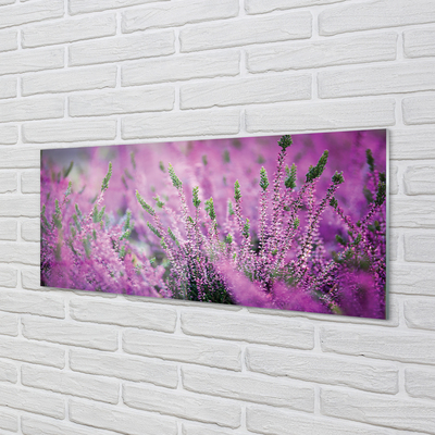 Painel de vidro Campo de urze