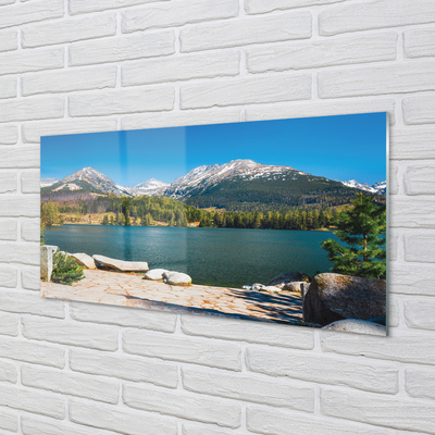 Painel de vidro Lago de montanha