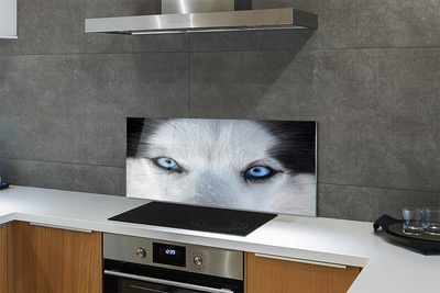 Painel de vidro Olhos de lobo