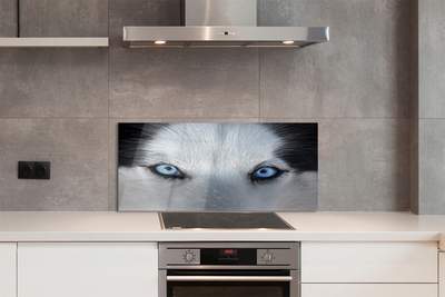 Painel de vidro Olhos de lobo