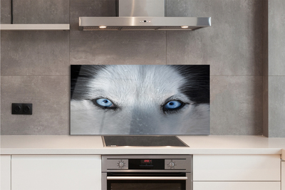 Painel de vidro Olhos de lobo