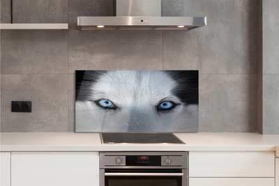Painel de vidro Olhos de lobo