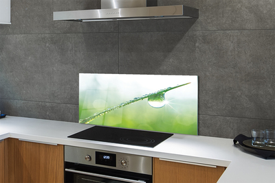 Painel de vidro Macro de queda de grama