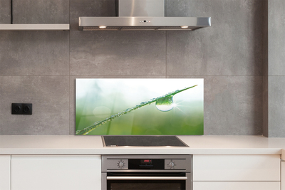 Painel de vidro Macro de queda de grama