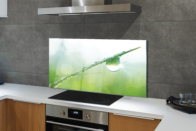 Painel de vidro Macro de queda de grama