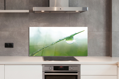 Painel de vidro Macro de queda de grama