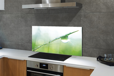 Painel de vidro Macro de queda de grama