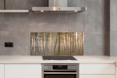 Painel de vidro Árvores da floresta ao nascer do sol