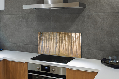 Painel de vidro Árvores da floresta ao nascer do sol