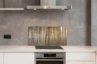 Painel de vidro Árvores da floresta ao nascer do sol