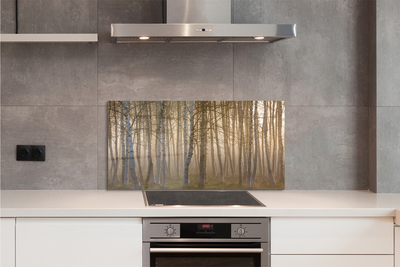 Painel de vidro Árvores da floresta ao nascer do sol