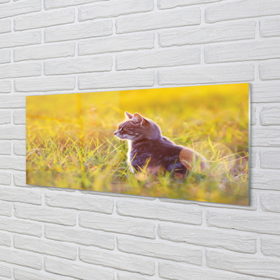 Painel de vidro Gato de caça