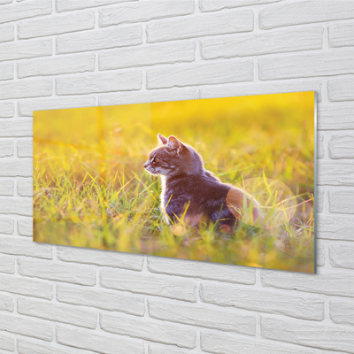 Painel de vidro Gato de caça