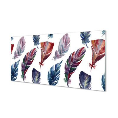 Painel de vidro Penas coloridas