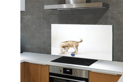 Painel de vidro Um cachorro brincando