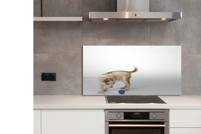 Painel de vidro Um cachorro brincando