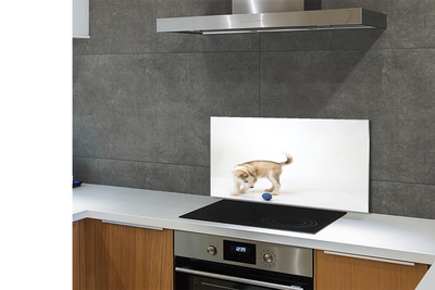 Painel de vidro Um cachorro brincando
