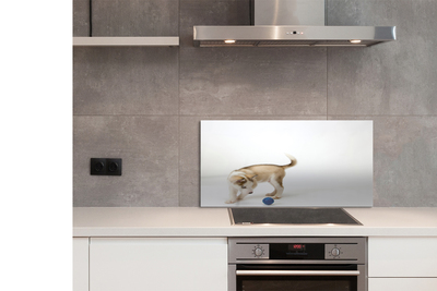 Painel de vidro Um cachorro brincando