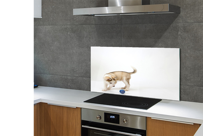 Painel de vidro Um cachorro brincando