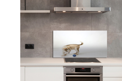 Painel de vidro Um cachorro brincando