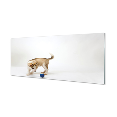 Painel de vidro Um cachorro brincando