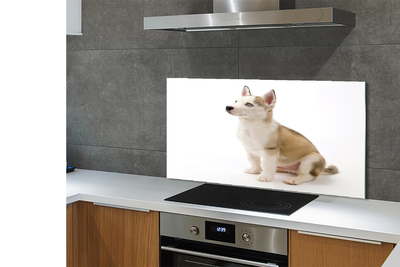 Painel de vidro Cachorrinho sentado