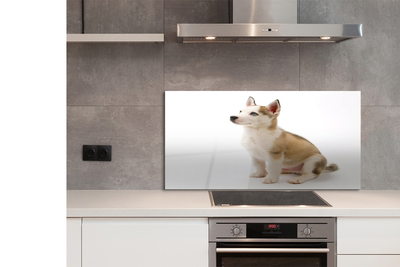 Painel de vidro Cachorrinho sentado