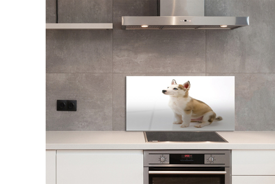 Painel de vidro Cachorrinho sentado