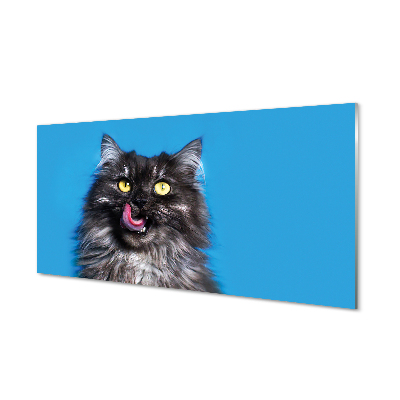Painel de vidro Um gato lambendo