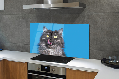 Painel de vidro Um gato lambendo