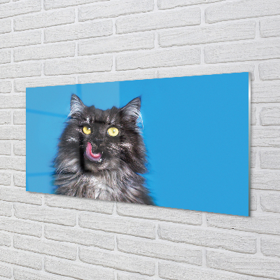 Painel de vidro Um gato lambendo