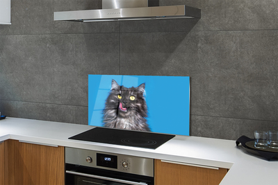 Painel de vidro Um gato lambendo