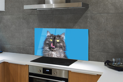 Painel de vidro Um gato lambendo