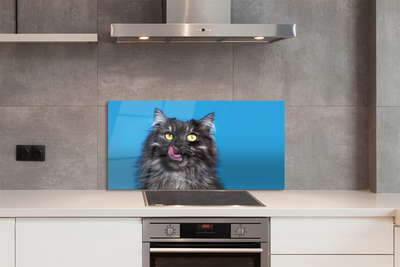 Painel de vidro Um gato lambendo