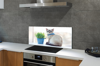 Painel de vidro Gato sentado