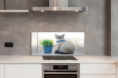 Painel de vidro Gato sentado