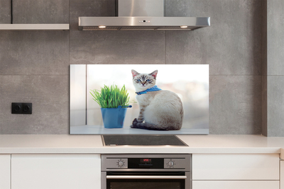 Painel de vidro Gato sentado