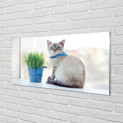 Painel de vidro Gato sentado