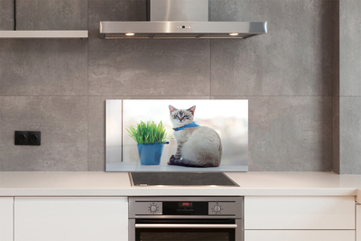 Painel de vidro Gato sentado