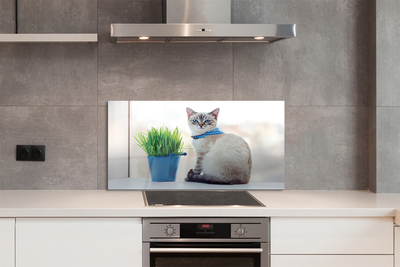 Painel de vidro Gato sentado