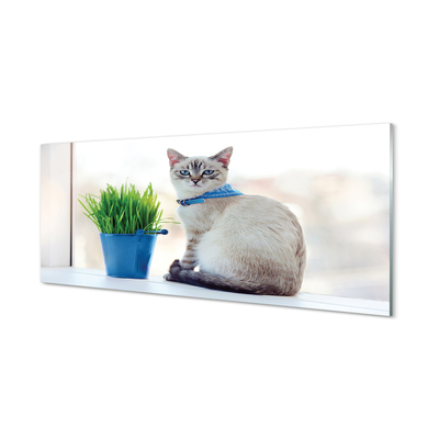 Painel de vidro Gato sentado