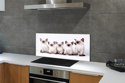 Painel de vidro Gatinhos