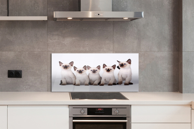 Painel de vidro Gatinhos