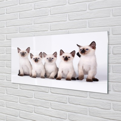 Painel de vidro Gatinhos