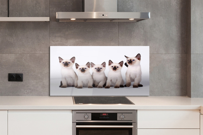 Painel de vidro Gatinhos