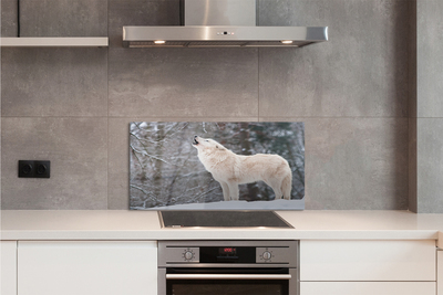 Painel de vidro Inverno na floresta dos lobos