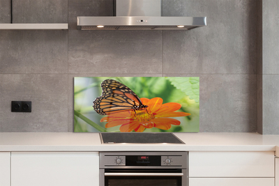 Painel de vidro Flor borboleta colorida